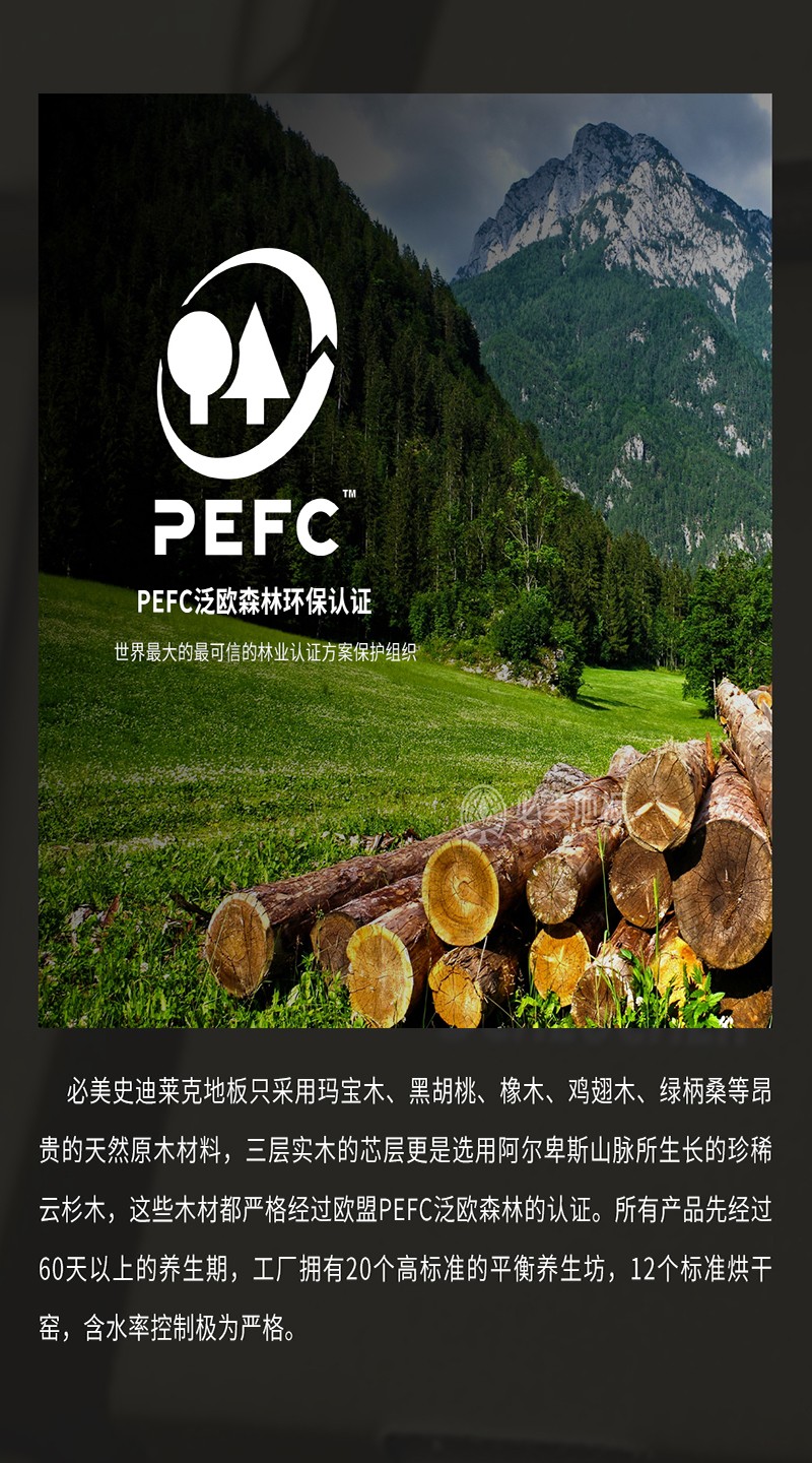 史迪萊克介紹_04.jpg