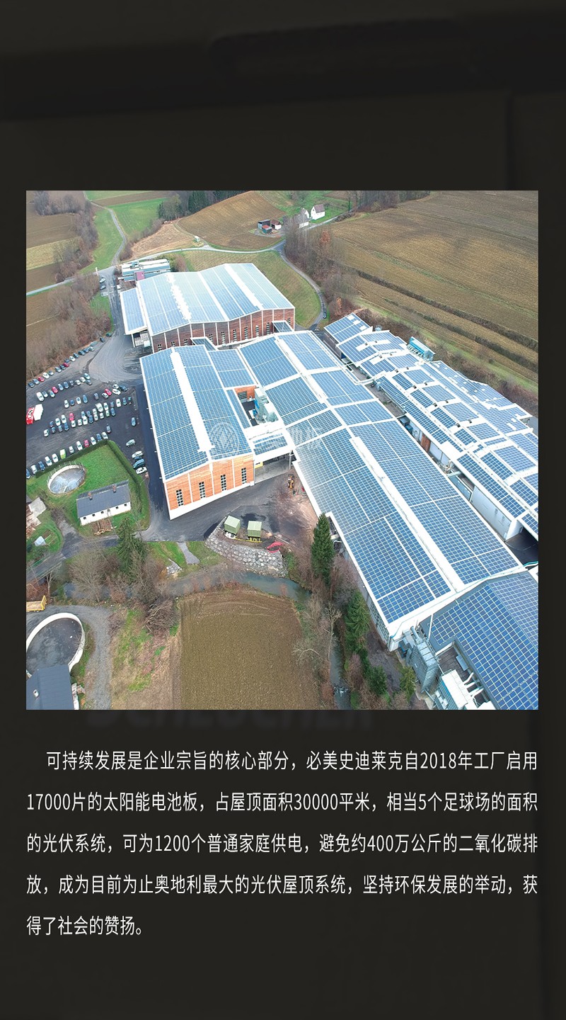 史迪萊克介紹_06.jpg